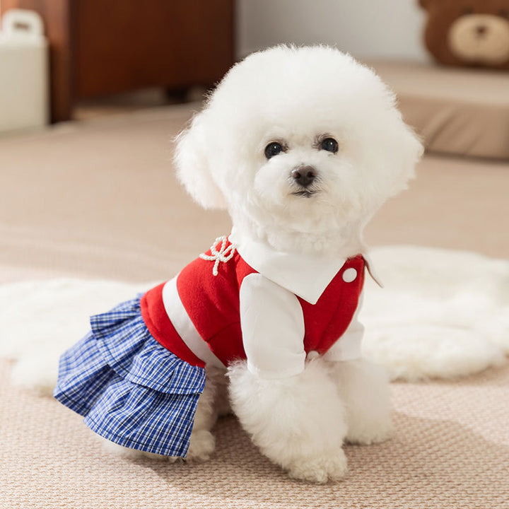 Checked dress for small dogs – Autumn and Winter