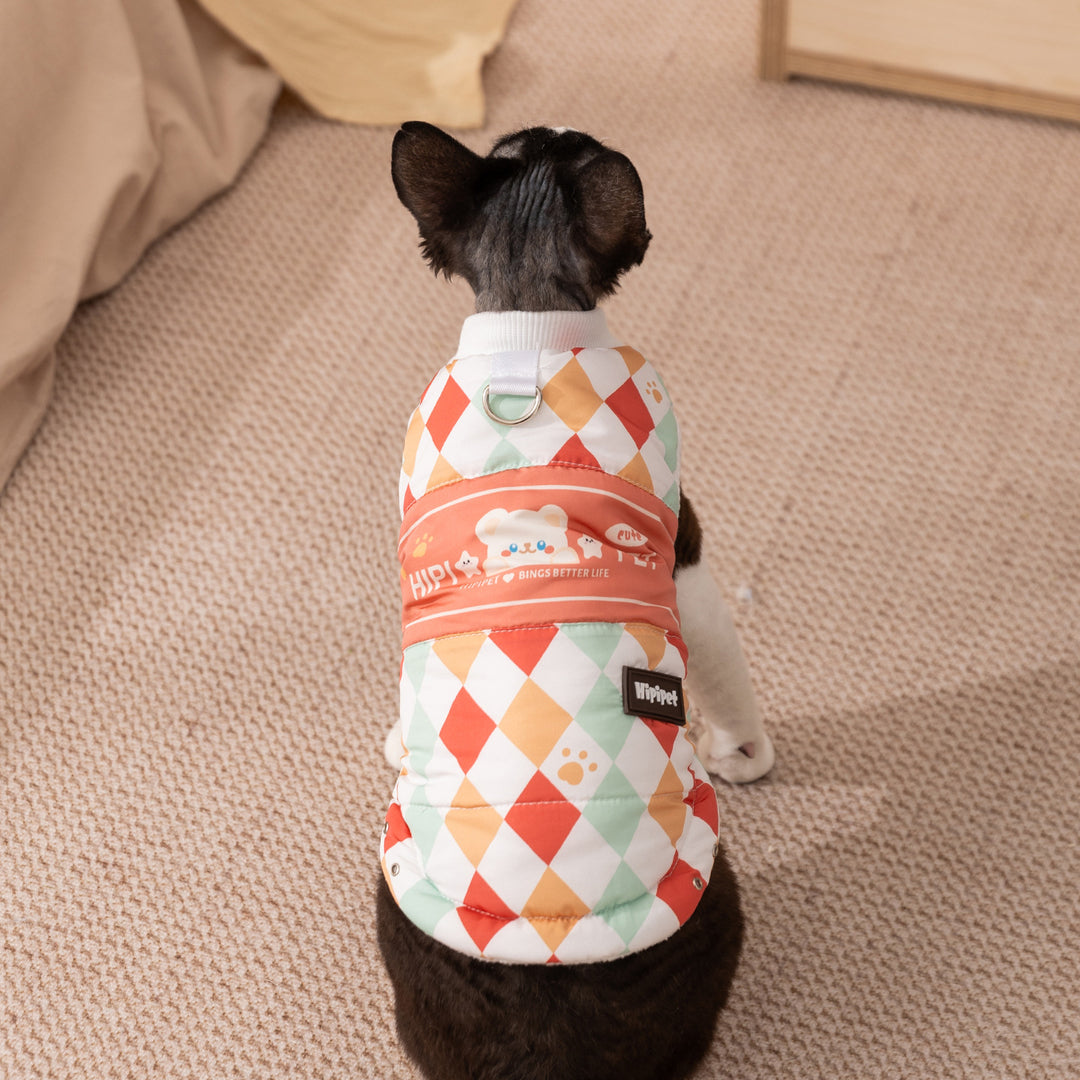 Cat sweater, checked, warming