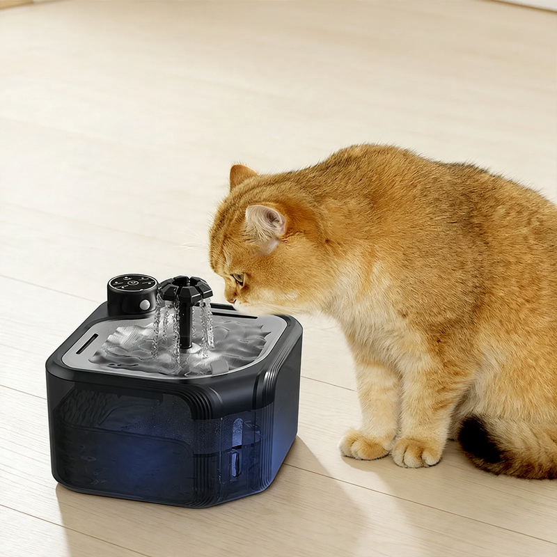 Automatic pet drinking fountain made of stainless steel