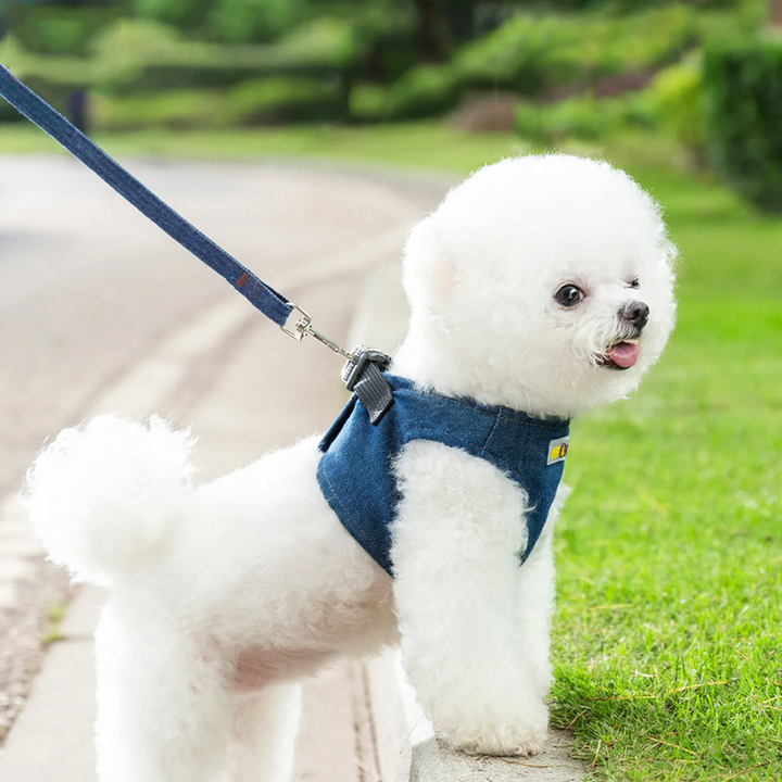 Dog harness Denim, small breeds