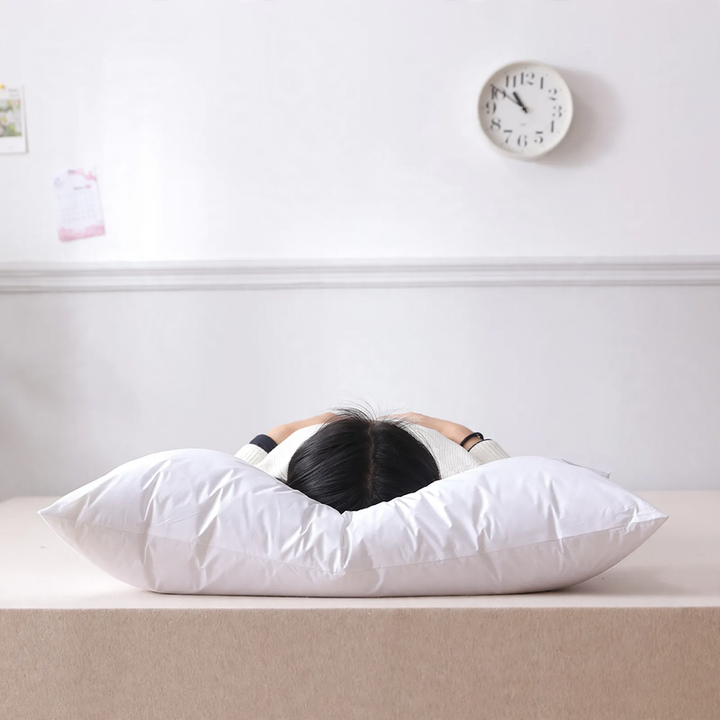 Down pillow with cotton cover, 48×74 cm
