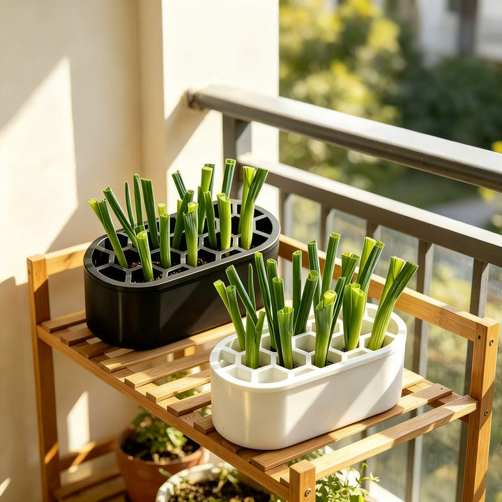 Hydroponic growing box for herbs and vegetables