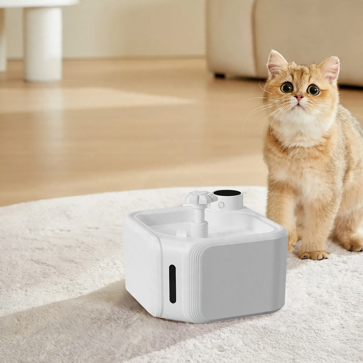 Automatic Pet Drinking Bowl with Sensor, Model CW02