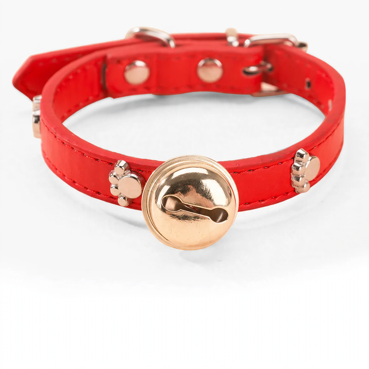 Nylon collar for medium and large dogs