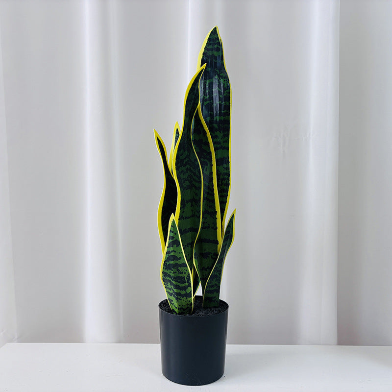 Artificial plant Sansevieria, 50 cm, PE