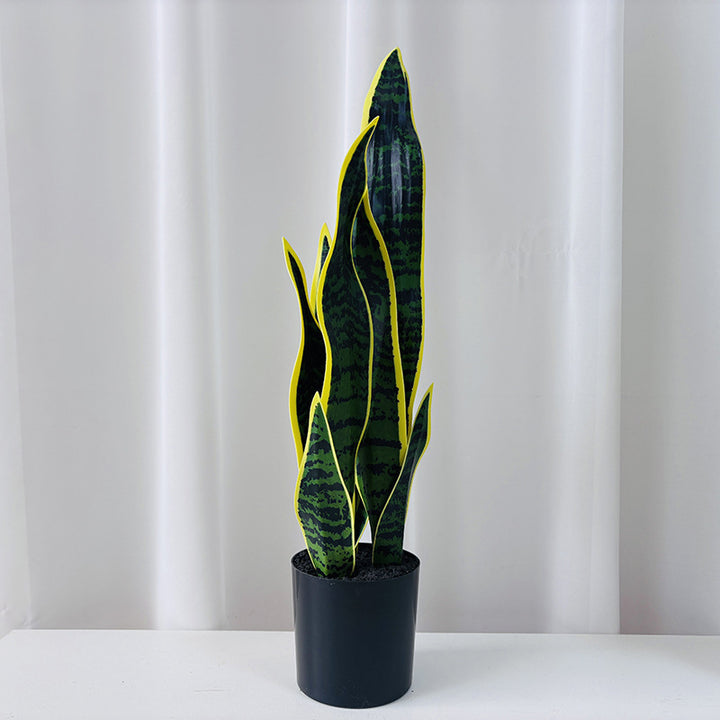 Artificial plant Sansevieria, 50 cm, PE