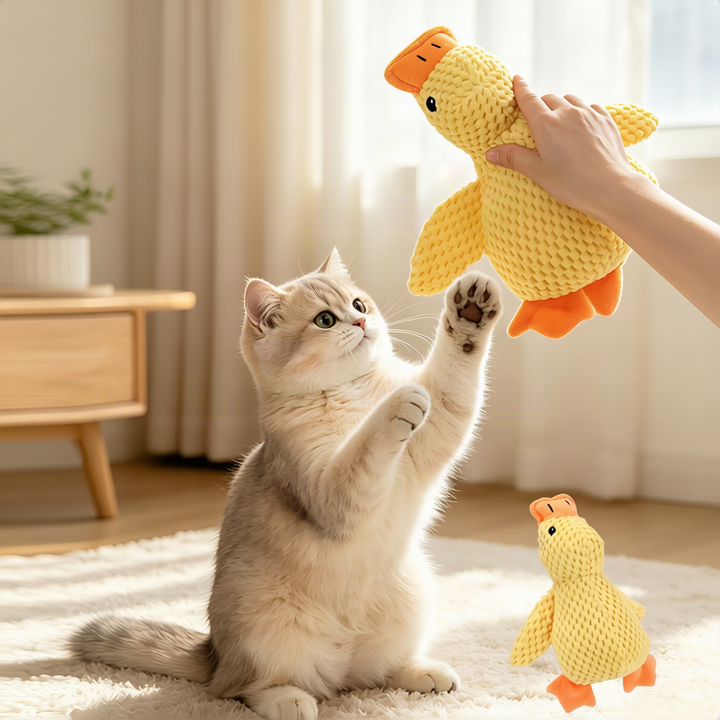 Cat toy with mint and crinkly paper