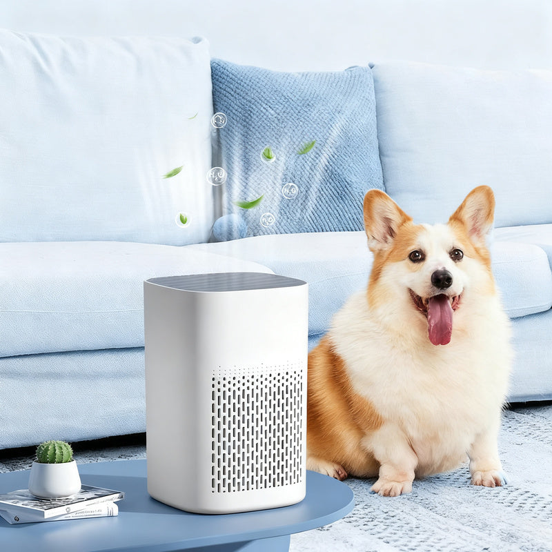 Portable air purifier with aroma function