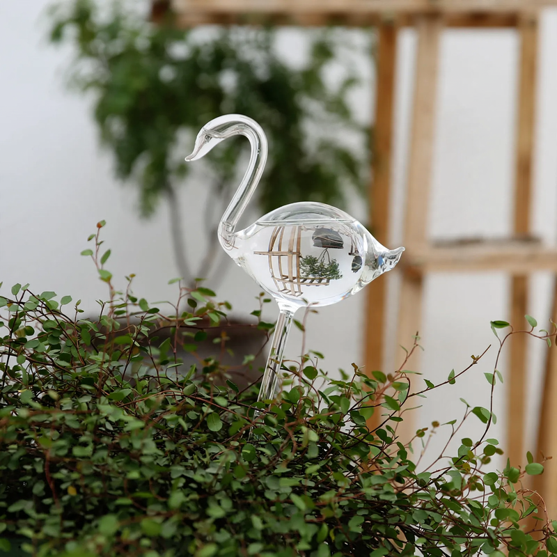 Glass drinkers for plants, various shapes