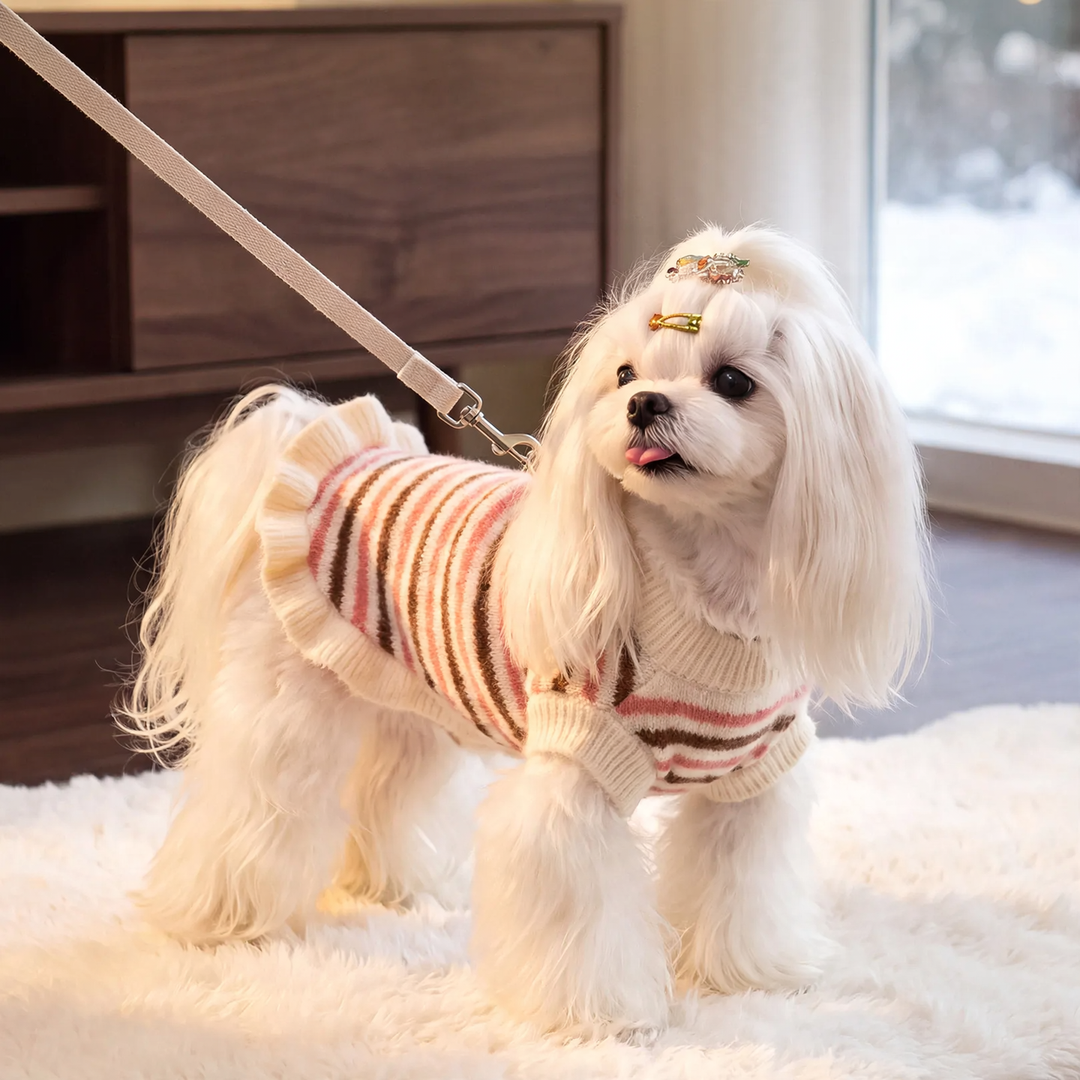 Striped sweater for small dogs and cats