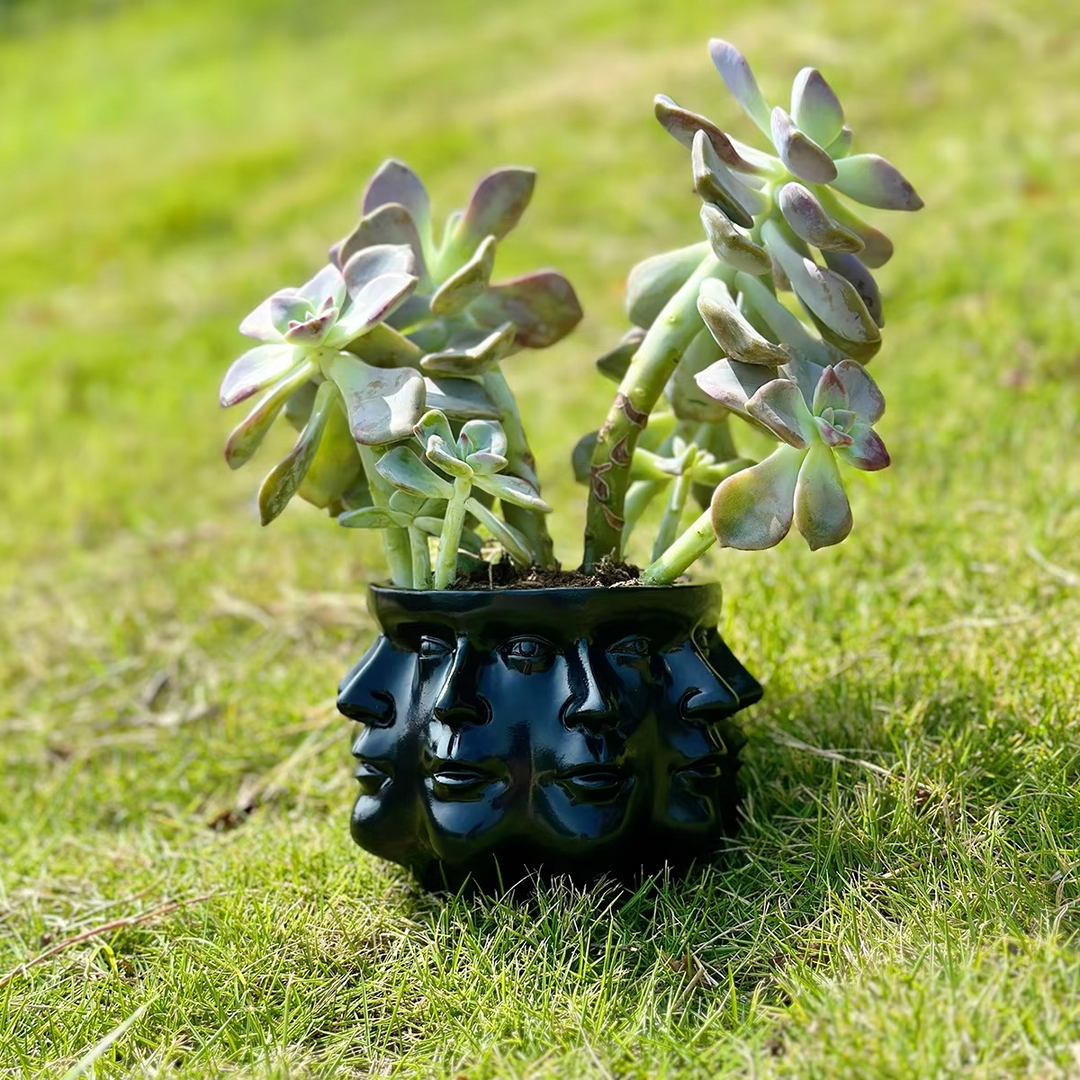 Modern Face Design Stornfield Pot