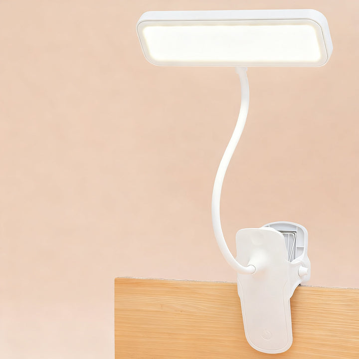 LED clip light with eye protection for learning