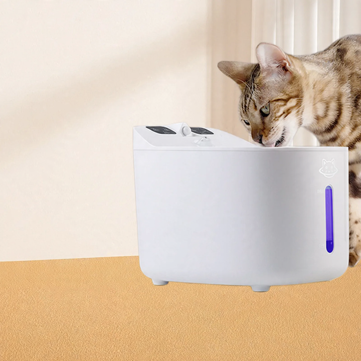 Pet Drinking Fountain with Filtration, MSW102