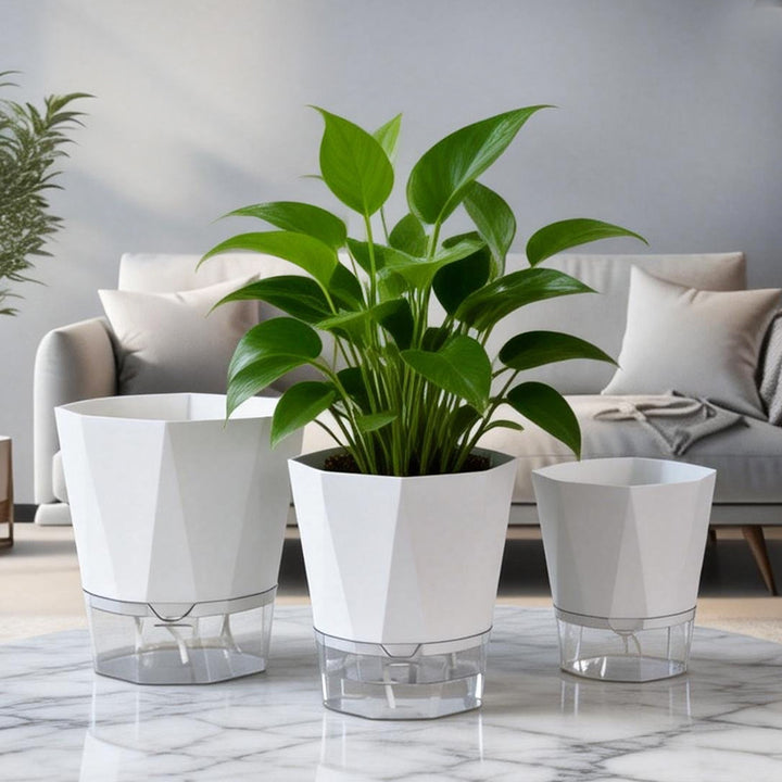 Self-watering flower pot, plastic