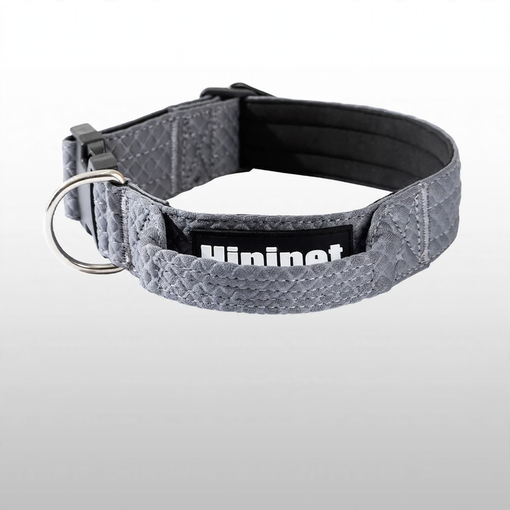 Collar for medium and large dogs with leash attachment