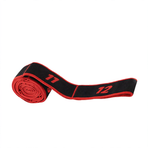 Resistance bands with levels of resistance, polyester