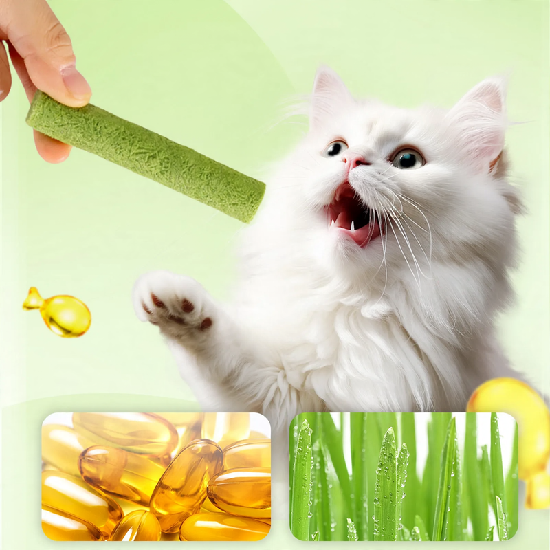 Freeze-dried cat grass sticks, 500 g