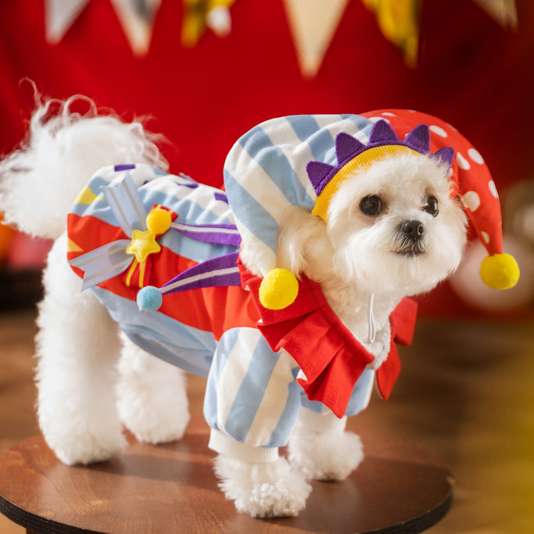Pet Clown Costume, padded, Autumn/Winter