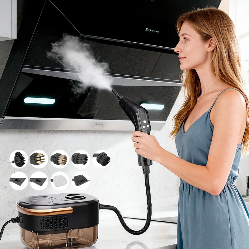 High-temperature steam cleaner for kitchen and household