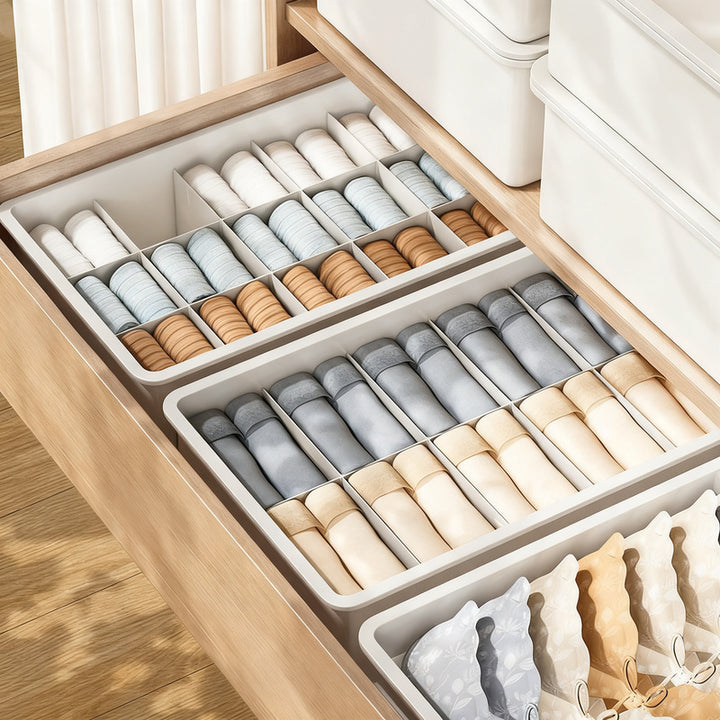 Plastic organizer for underwear and socks