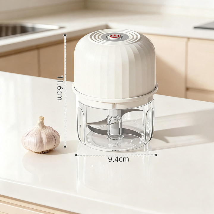 Electric garlic chopper, portable
