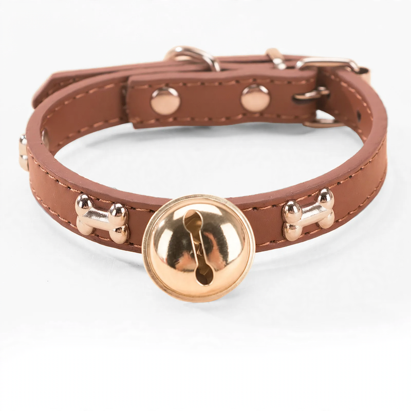 Nylon collar for medium and large dogs