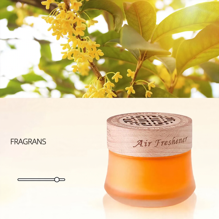 Glass air freshener with fragrance oil