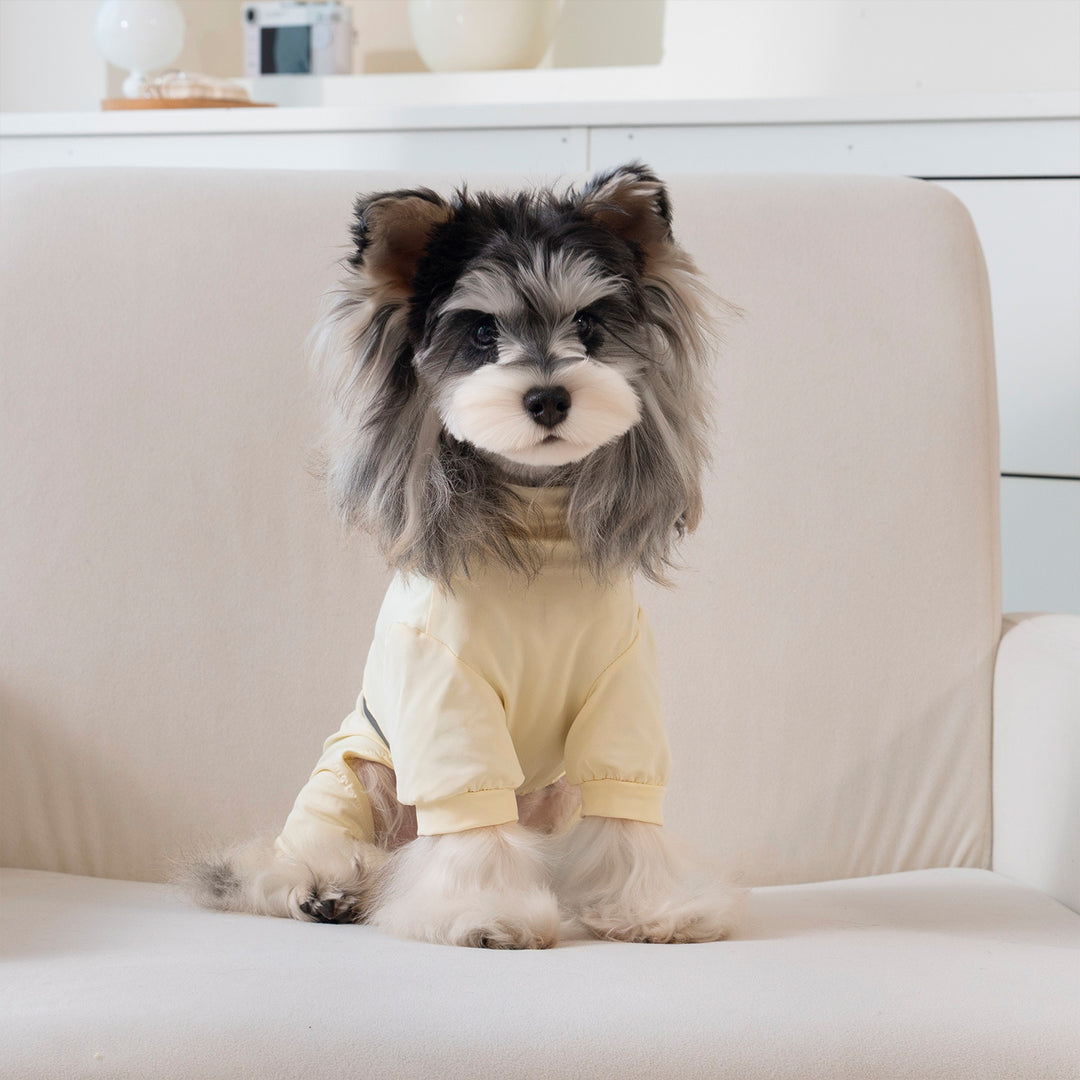 Dog coat, thin, breathable, four legs