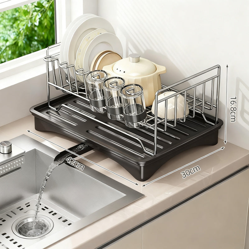 Stainless Steel Dish Rack for the Sink