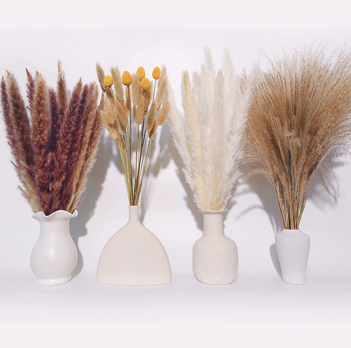 Bleached pampas grass, 145 cm, 10 pieces