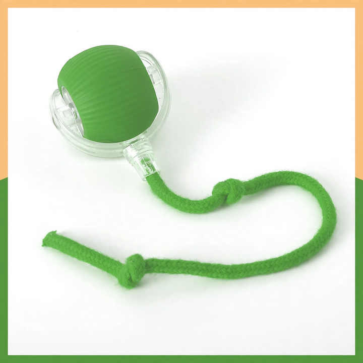 Interactive cat toy with tail