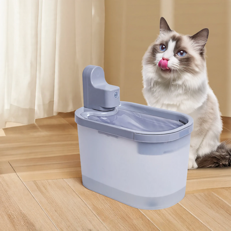 Intelligent drinking fountain with motion sensor