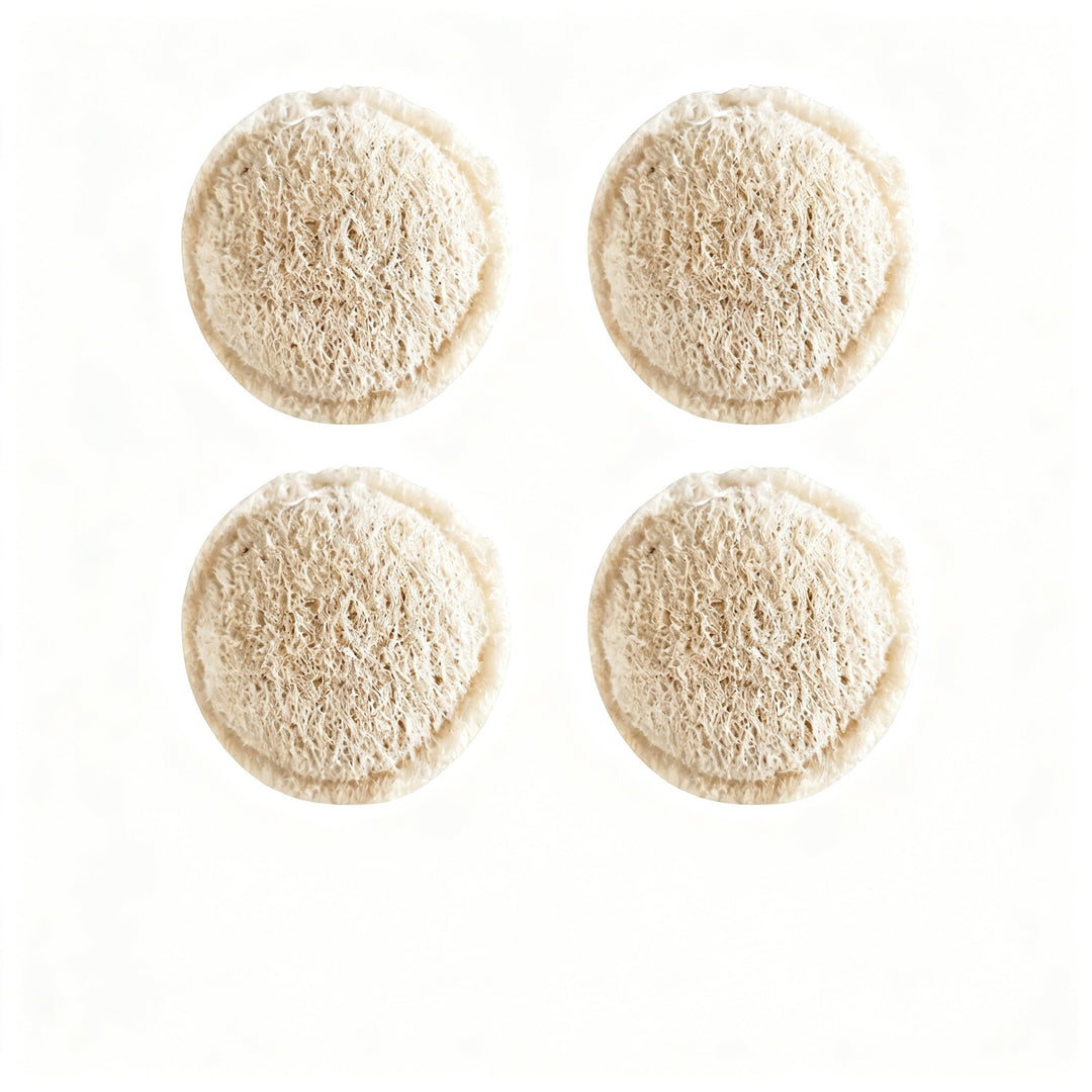 Pot brush with loofah sponge, long handle