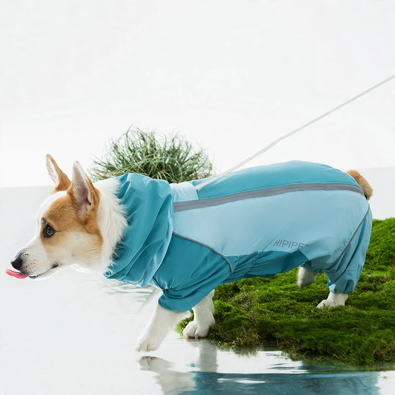 Raincoat for dogs, four-legged, waterproof