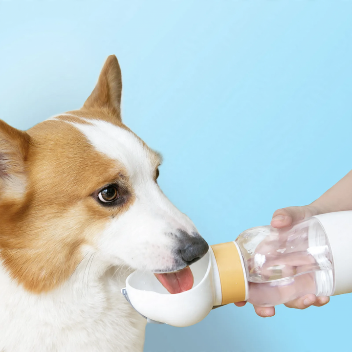 Portable water and food bowl combination for dogs and cats