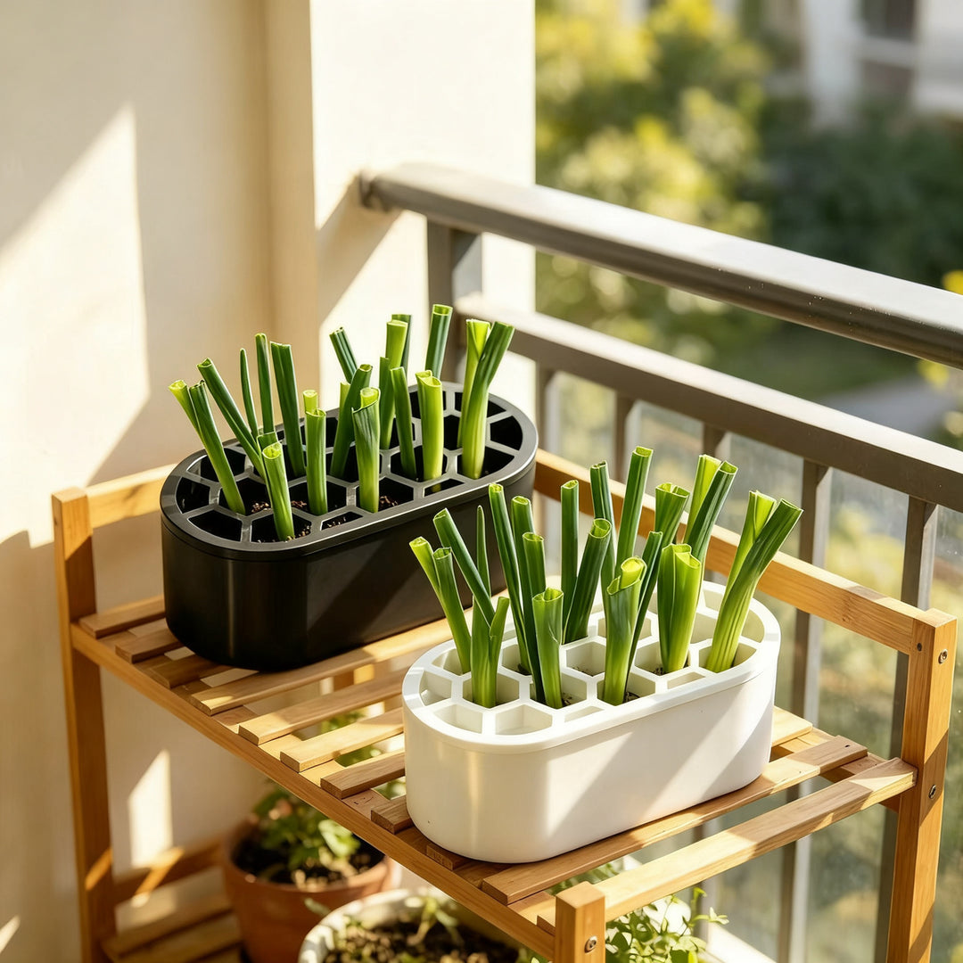 Hydroponic growing box for herbs and vegetables