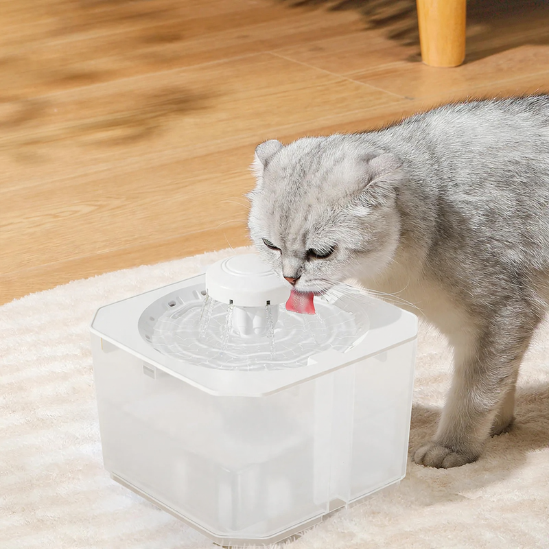 Automatic pet drinking fountain with circulation