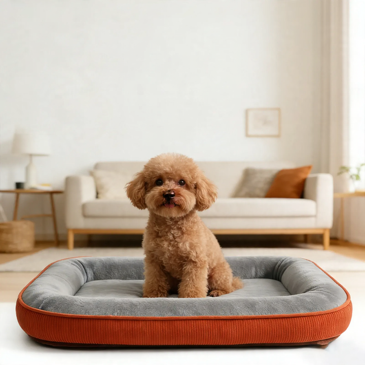 Dog bed made of mesh fabric, breathable and waterproof