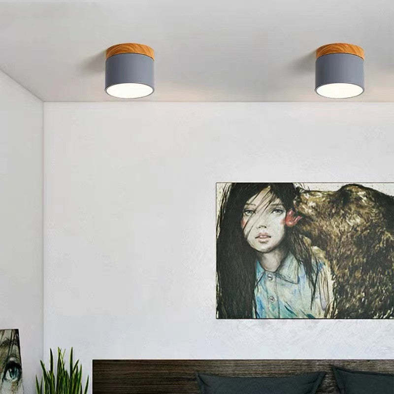 Morandi Style Modern LED Ceiling Lamp - LumiModo | Stornfield