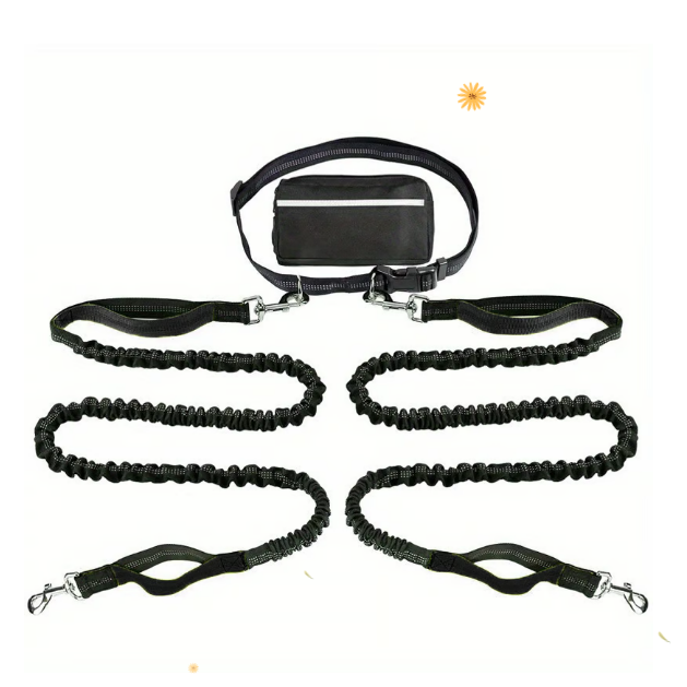FlowLeash — Experience gentle control and relaxed walks without jerks! | Stornfield