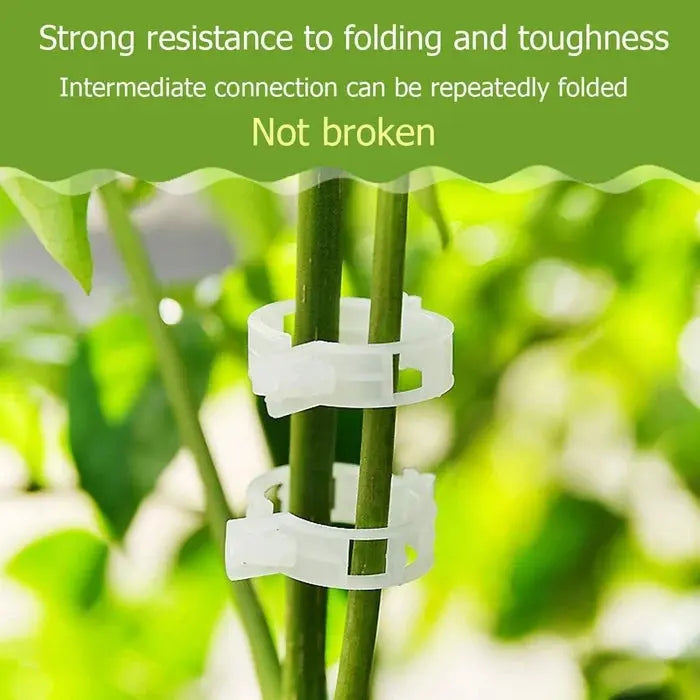 VitaGrip Clips — Strong hold for majestic plants that grow and thrive proudly | Stornfield