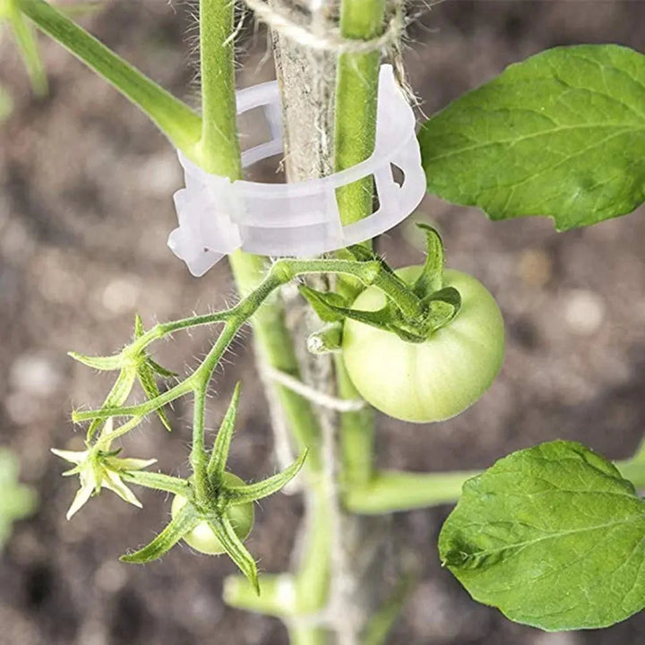 VitaGrip Clips — Strong hold for majestic plants that grow and thrive proudly | Stornfield