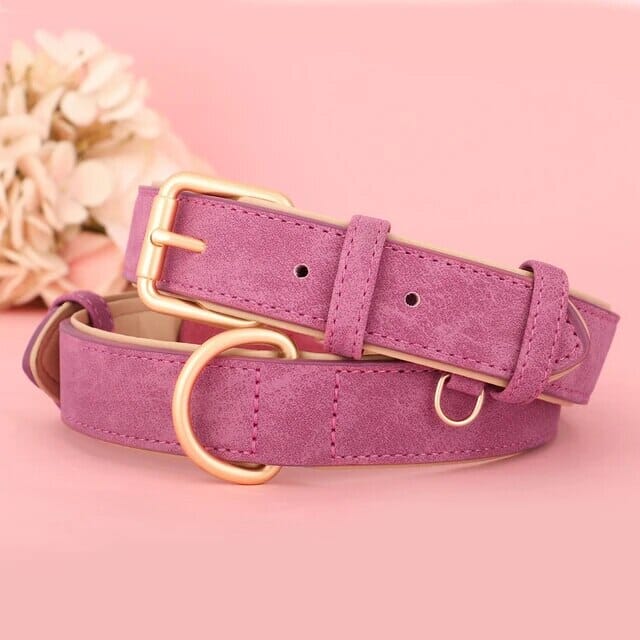 Stornfield Pup Collar