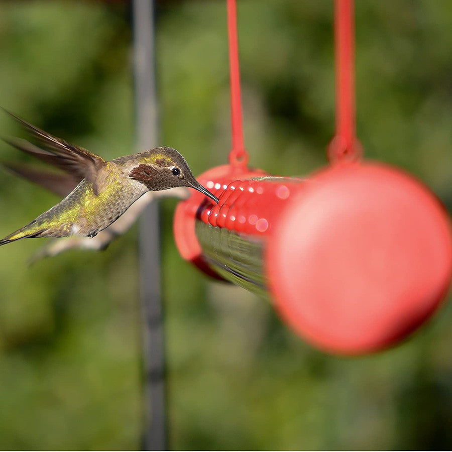 Bob's Best Hummingbird Feeder | Stornfield