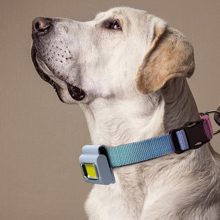 Pocket Must-Have Mini Magnetic Walking Lamp Clip | Stornfield