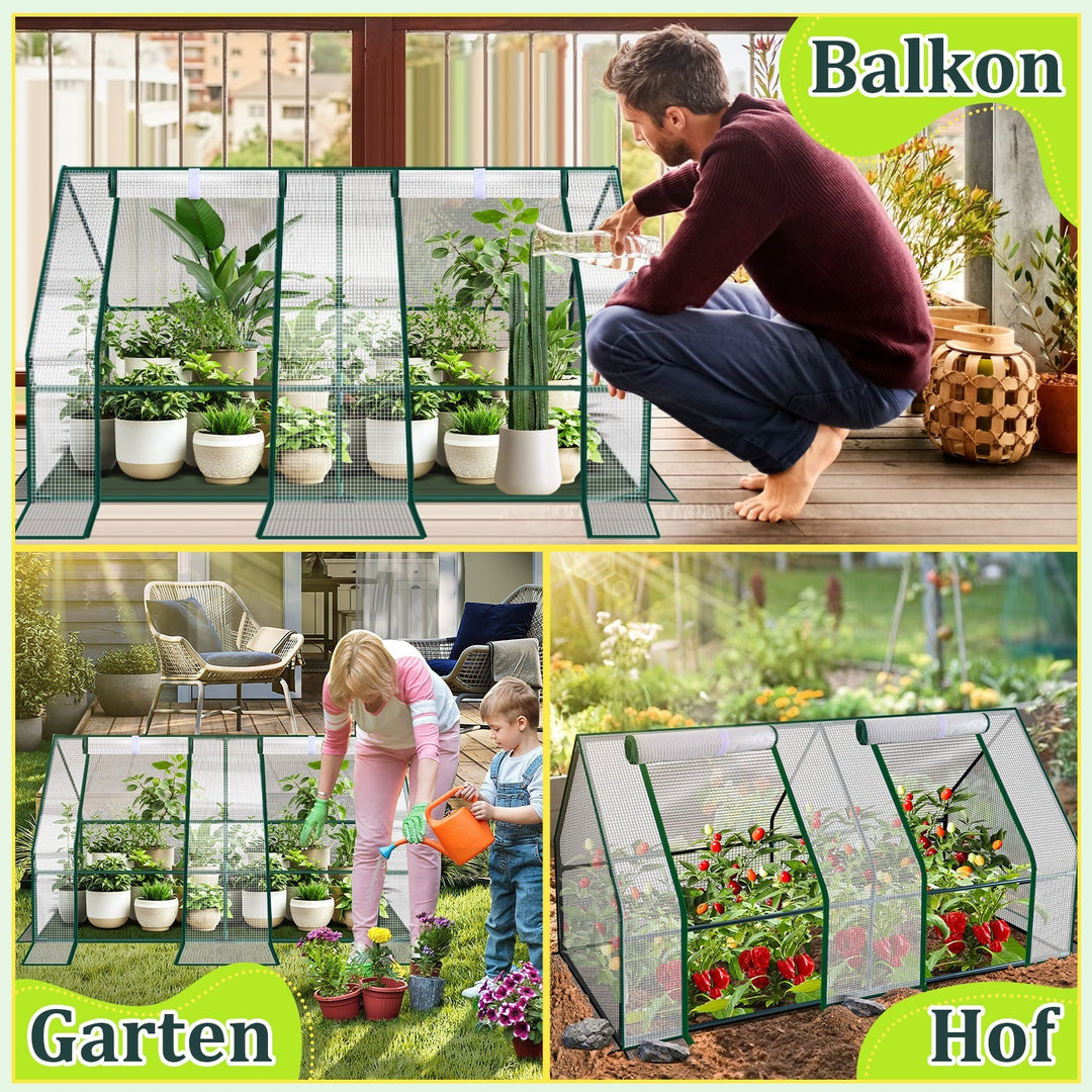Greenhouse Tomato Greenhouse Hothouse | Stornfield