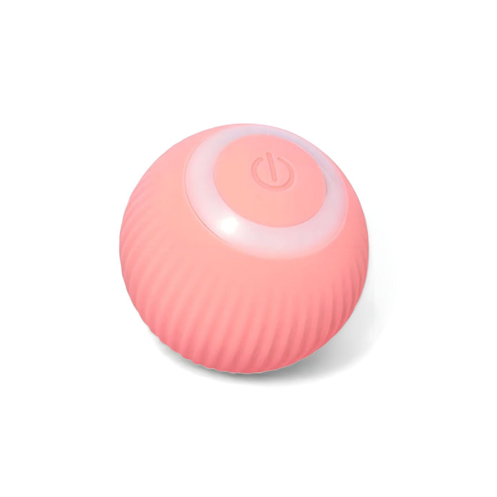 Stornfield Purr Interactive Pet Ball