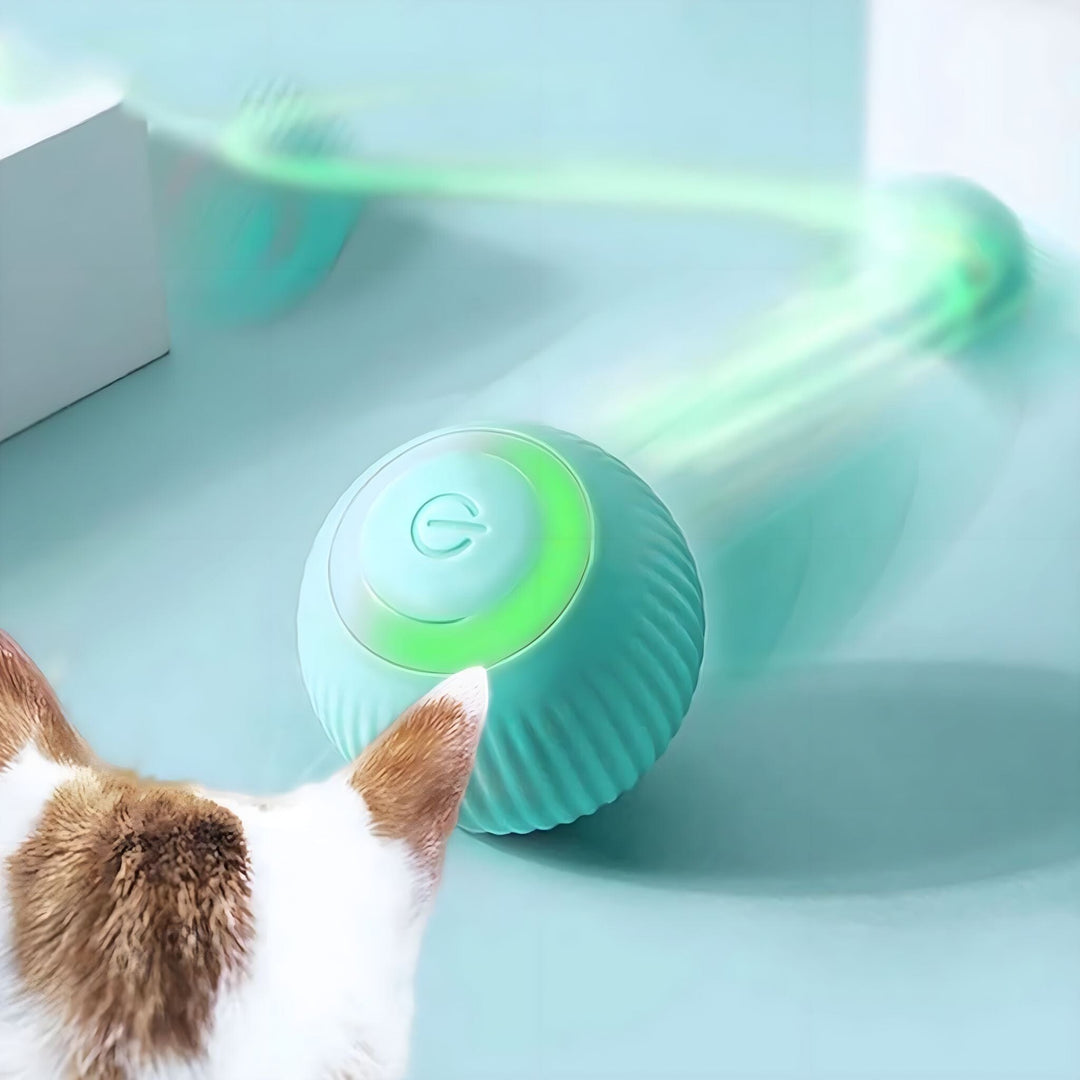 Stornfield Purr Interactive Pet Ball