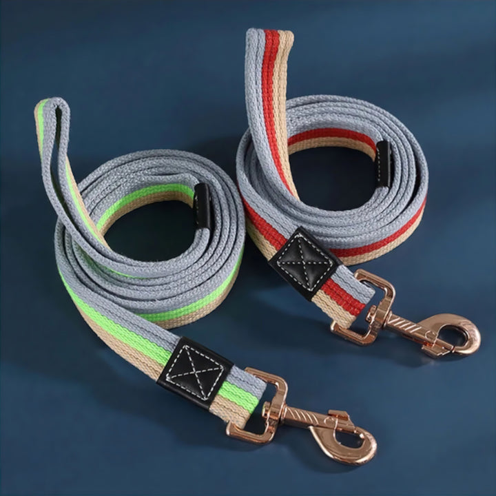 Stornfield Paws Dog Leash