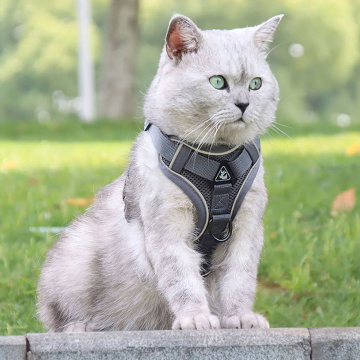 Stornfield Comfort Cat Harness